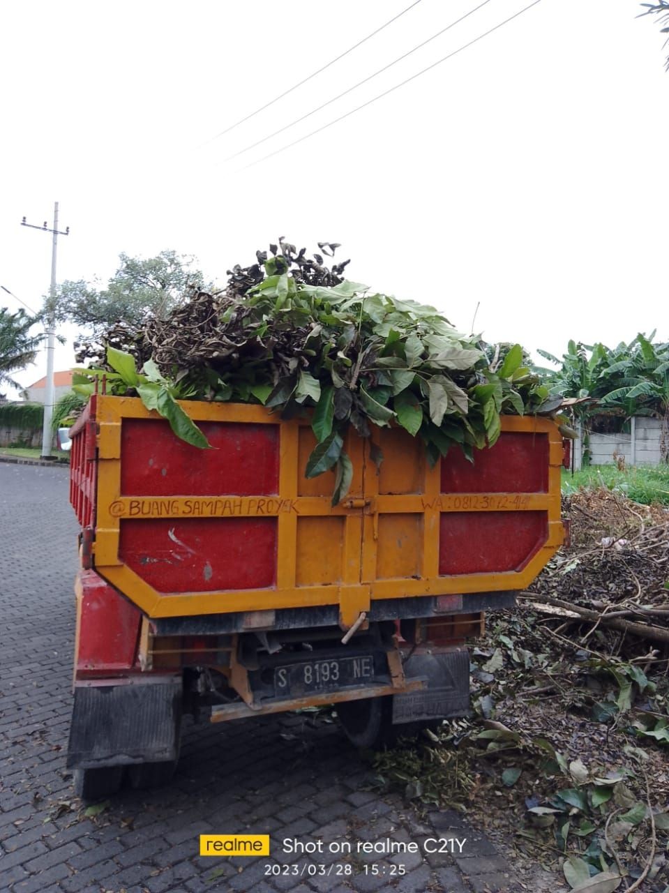 Sampah pohon